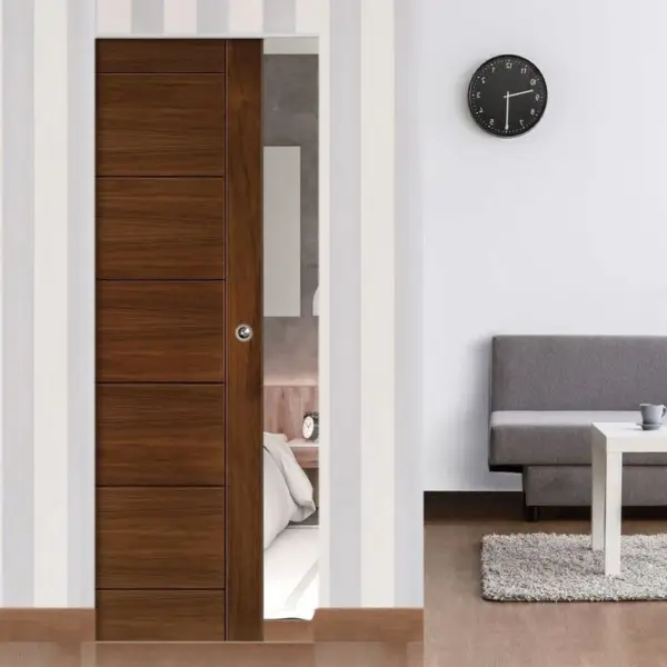 Modern Pocket Door
